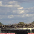 15_05-mast.jpg