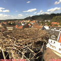 15_05-nest.jpg