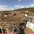 15_10-nest.jpg