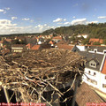 15_15-nest.jpg