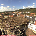15_20-nest.jpg