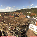 15_25-nest.jpg
