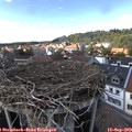 15_30-nest.jpg