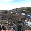 15_35-nest.jpg