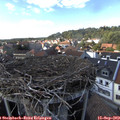 15_45-nest.jpg