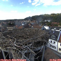 15_55-nest.jpg