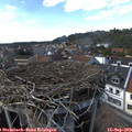 16_05-nest.jpg
