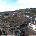 16_10-nest.jpg