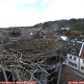 16_15-nest.jpg
