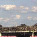 16_25-mast.jpg