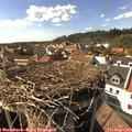 16_30-nest.jpg