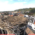 16_35-nest.jpg