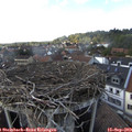 16_40-nest.jpg