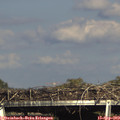 16_45-mast.jpg