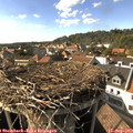16_45-nest.jpg