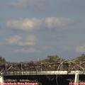 16_50-mast.jpg