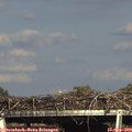 16_55-mast.jpg