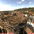 16_55-nest.jpg