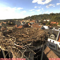 17_05-nest.jpg
