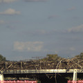 17_10-mast.jpg