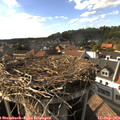 17_10-nest.jpg