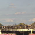 17_15-mast.jpg