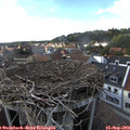 17_20-nest.jpg