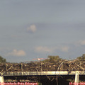 17_25-mast.jpg