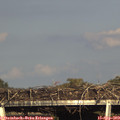17_30-mast.jpg