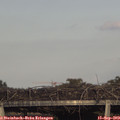 17_55-mast.jpg