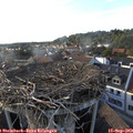 17_55-nest.jpg