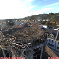 18_05-nest.jpg