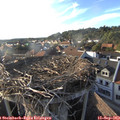 18_10-nest.jpg
