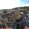 18_20-nest.jpg