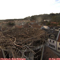 18_25-nest.jpg