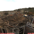 18_30-nest.jpg