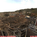 18_40-nest.jpg