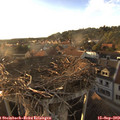18_45-nest.jpg