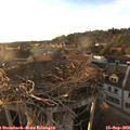 18_50-nest.jpg