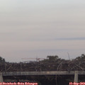 18_55-mast.jpg