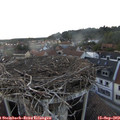 18_55-nest.jpg
