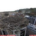 19_00-nest.jpg