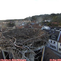 19_05-nest.jpg