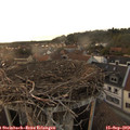 19_10-nest.jpg