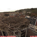 19_15-nest.jpg