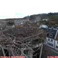 19_20-nest.jpg
