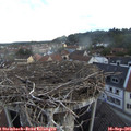 07_10-nest.jpg