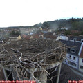 07_15-nest.jpg