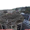 07_20-nest.jpg