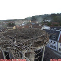 07_25-nest.jpg